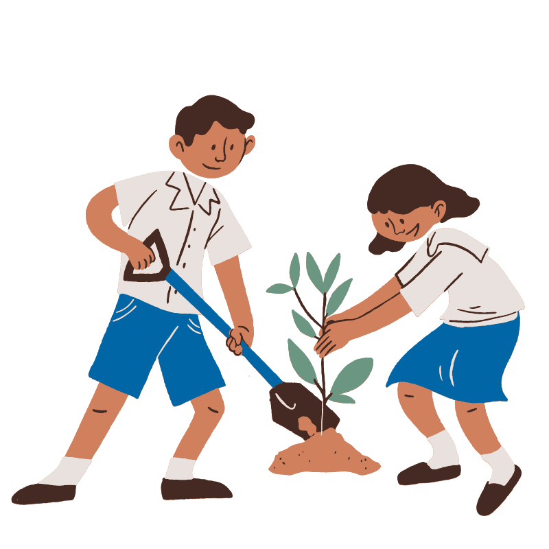 Plantas de exterior